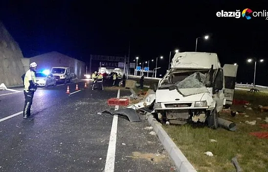 Kanatlı hayvanları taşıyan minibüs kaza yaptı