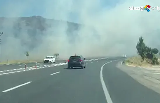 Hazar Gölü kenarında nedeni henüz belirlenemeyen bir yangın çıktı