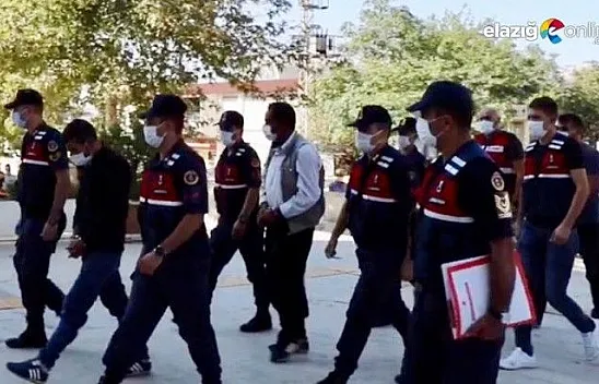 Jandarma dedektif gibi iz sürdü, çalınan hayvanları buldu