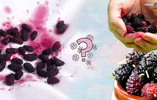 Karadut lekesi elbiseden nasıl çıkarılır? İşte uzman tavsiyeleri