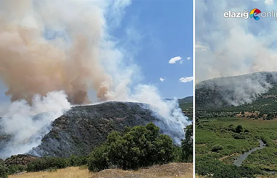 Karakoçan'da orman yangını