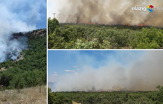 Karakoçan'daki orman yangını kontrol altına alınmaya çalışılıyor