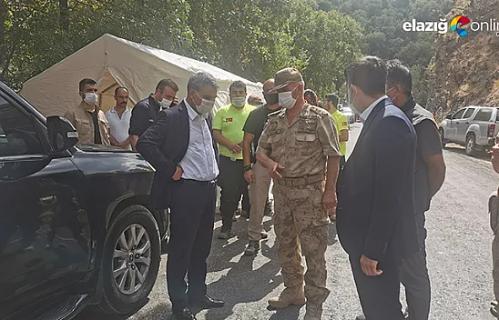 Kayıp kardeşler için 250 kişilik ekip sayısı 500'e yükseltildi