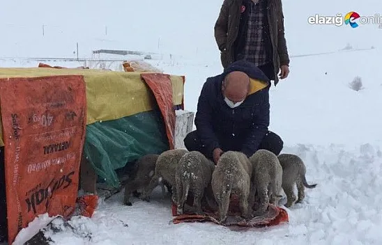 Kış gününde içleri ısıtan, insanlık ölmemiş dedirten davranış