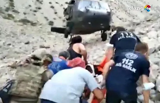 Koreli turist ayı saldırısından canını zor kurtardı