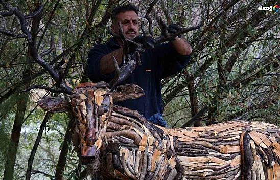 Herşey bir hobi olarak başladı