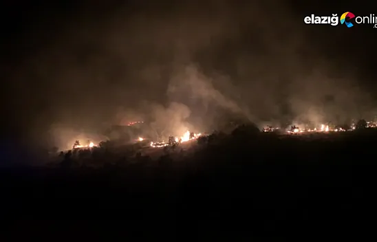 Maden'e bağlı Albayrak Köyü'nde anız yangını meydana geldi