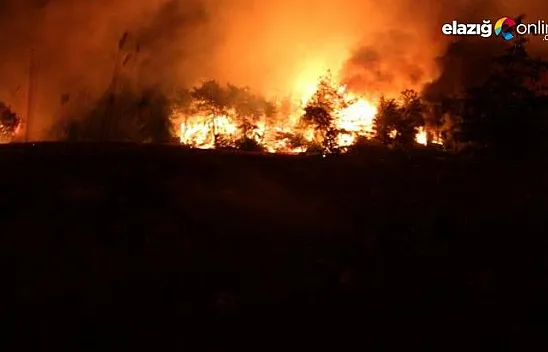 Manavgat'ta büyük felaket!