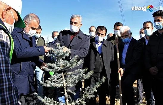 Memur-Sen üyeleri binlerce fidanı toprakla buluşturdu