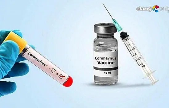 Mutasyon koronavirüs aşısını etkiler mi?