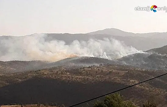Ormanlık alanda çıkan yangına ekiplerin müdahalesi devam ediyor