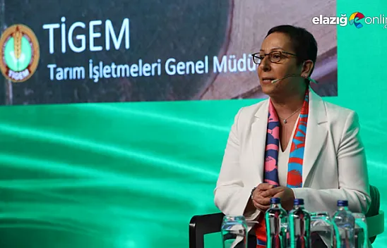 Tarım ve Orman Bakan Yardımcılığı Görevine Hemşehrimiz Işıkgece  Atandı