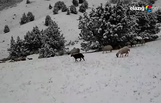 Tunceli'de kar sürprizi