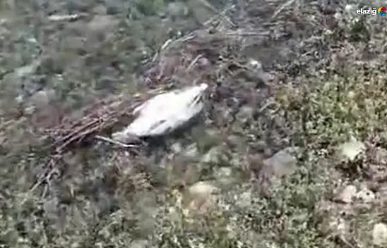 Vatandaşlar hala tedirgin! Su analizi yapıldı mı?