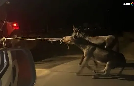Vicdansız sürücü tepkilere aldırış bile etmedi! Yorum sizin