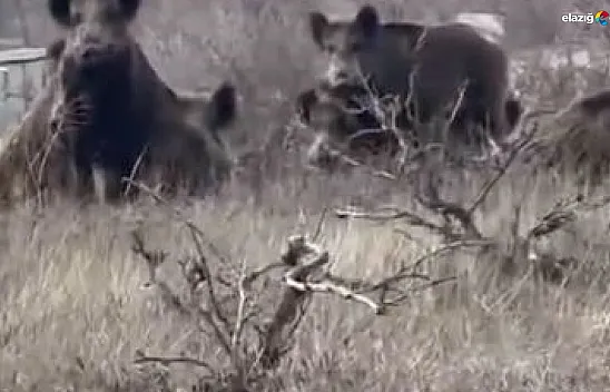 Elazığlılar tedirgin!