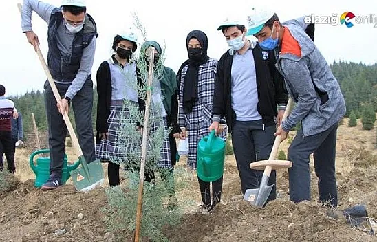 223 bin fidan toprakla buluşuyor, ilk fidanlar dikildi