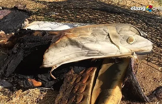 8 aylık bebek çıkan yangında öldü, 2 çocuk yaralandı