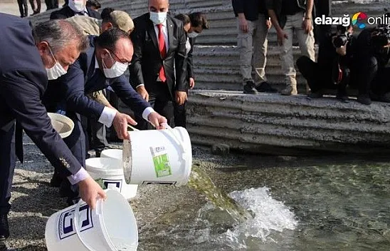 97. yıl anısına 970 bin adet balık yavrusu Keban Barajı'na bırakıldı