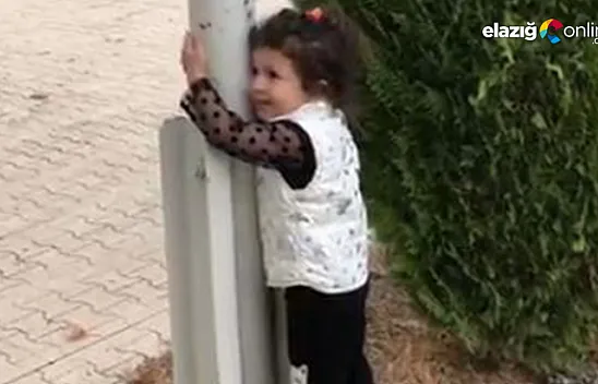 Bayrak sevgisi hem duygulandırdı, hem de tebessüm ettirdi