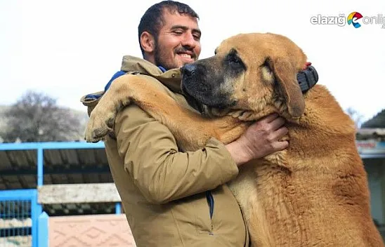 Önce hobi olarak başladı, ardından çiftlik kurdu