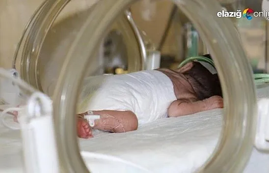 Prematüre bebeklere 'anne şefkati' ile bakıyorlar