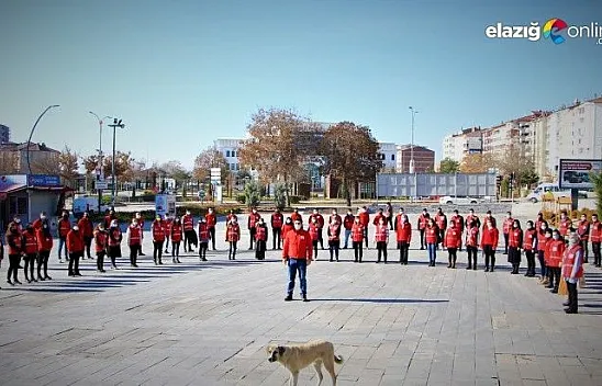 Sokağa çıkma kısıtlamasında 80 gönüllü kan verdi