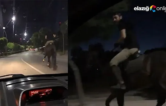 Trafikte atla yarıştı, araç sürücüsü ise spiker gibi anlattı
