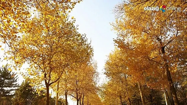 Elazığ'da sonbahar bir başka güzel