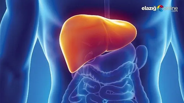 Karaciğer yağlanmasına dikkat!