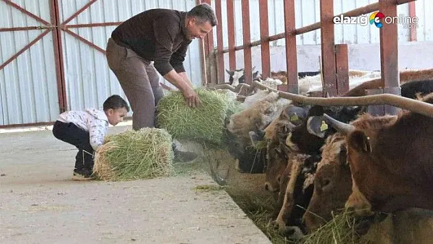 TKDK'dan aldığı destek ile köyünü tavuk ve besi çiftliğine çevirdi