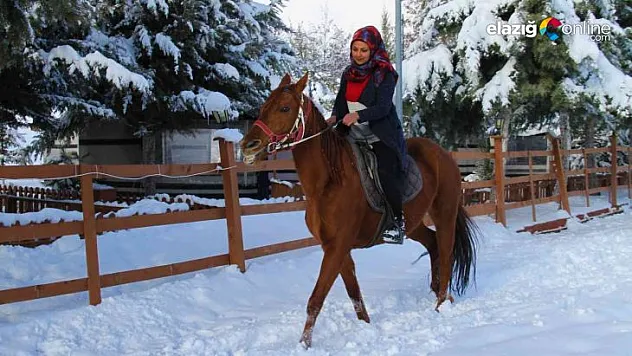 'Yapamazsın' dediler hırs yaptı Elazığ'ın tek kadın seyisi oldu