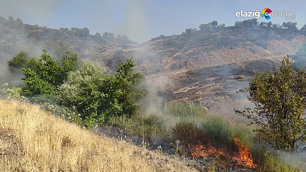 2 gün süren orman yangını söndürüldü