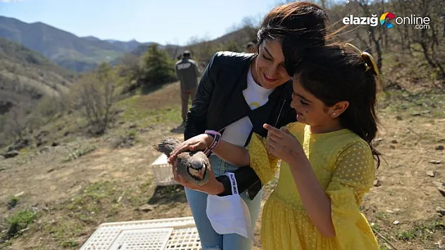 200 kınalı keklik tabiat harikası Tunceli'de doğaya salındı