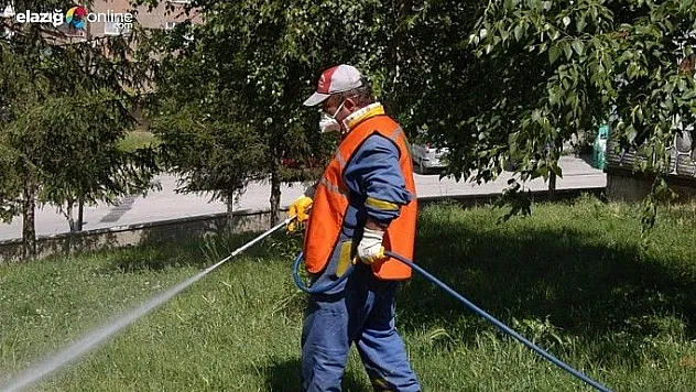 Elazığ İl Gıda'dan ilaçlama çağrısı