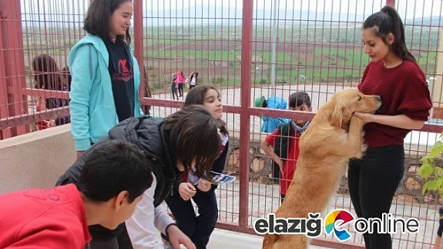 Öğrenciler, hayvan sevgilerini gösterdi