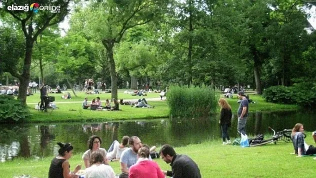 Piknikçiler müjde!