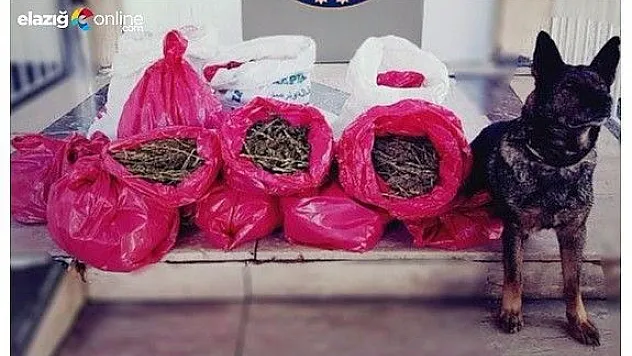 Satışa hazır 25 kilogram esrar ele geçirildi