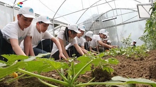 Toprak Ananın Çocukları