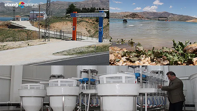 21 ilin balıklarını Elazığ üretecek!