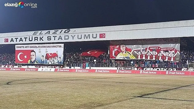 50 Yıllık Koca Çınar için harekete geç!..