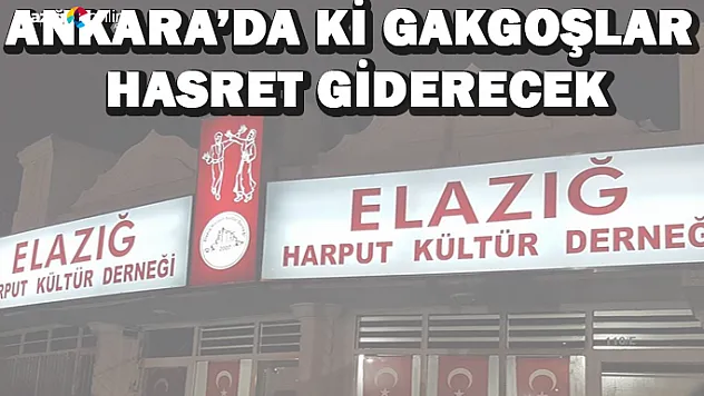 Ankara'da ki Gakgoşlar Buluşuyor!