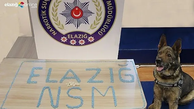 Ayakkabıda kokain, kutusunda ecstasy ele geçirildi