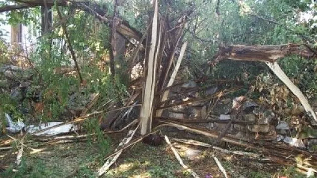 Baskil'de Ağaçlara Yıldırım Düştü