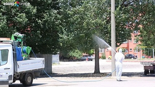 Elazığ Belediyesinden haşerelere geçit yok