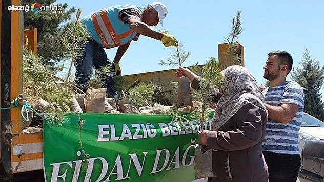 Elazığ'da mezarlıklarda 10 bin fidan dağıtıldı
