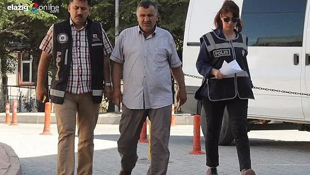 Elazığ merkezli FETÖ operasyonu: 15 gözaltı