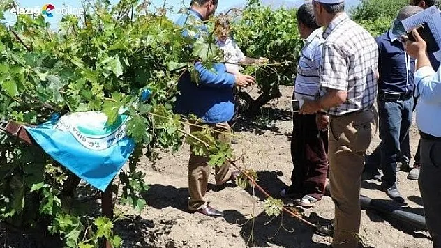 Elazığ'da 40bin dekar alan zarar gördü!