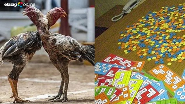 Elazığ'da 'Kumar ve Tombala' Operasyonu!