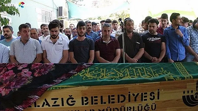 Mezarlık ziyaretinde arının soktuğu kadın öldü